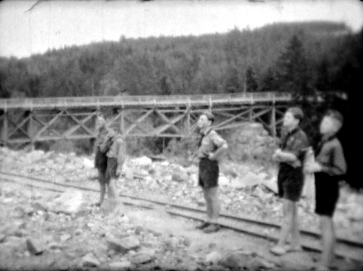 Dřevěnný most nad údolím Haldy